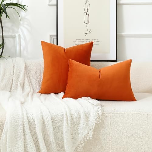 Stellhome Pack of 2, Fall Decorative Velvet Pillow Covers Square Decorative Cushion Covers for Bed Couch Sofa Bench, 24x24 Inch/60x60 cm, Burnt Orange