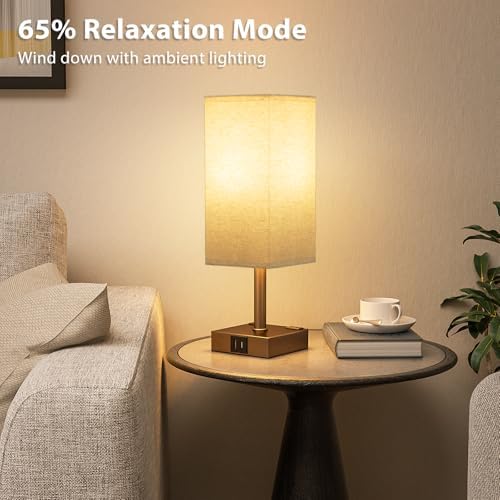 Brown Touch Lamps Set of 2 for Bedroom - Dimmable, USB C+A, 2 AC Outlets