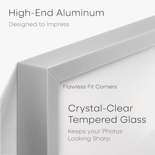 Homeforia 5.5x8.5 Silver Business License Frame, High-End Metal, Glass
