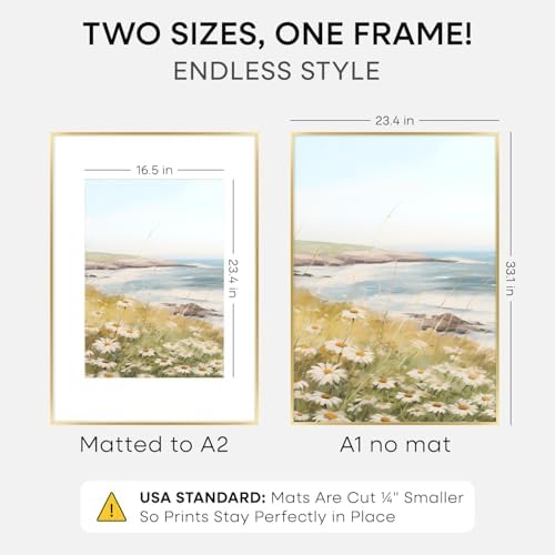Homeforia A1 Gold Poster Frame, High-End Metal, A2 Mat, Glass