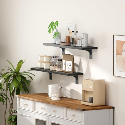 HOOBRO Floating Shelves for Wall, 23.6" Wall Mounted Shelves Set of 2, Hanging Storage Shelf with Metal Brackets, Wooden Shelf for Living Room, Bedroom, Bathroom, Black BK62BJP201G1