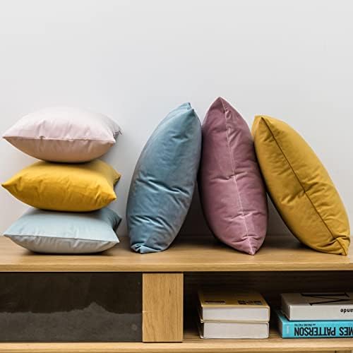 JUSPURBET 12x20 Lumbar Velvet Throw Pillow Covers Set of 2,Light Blue