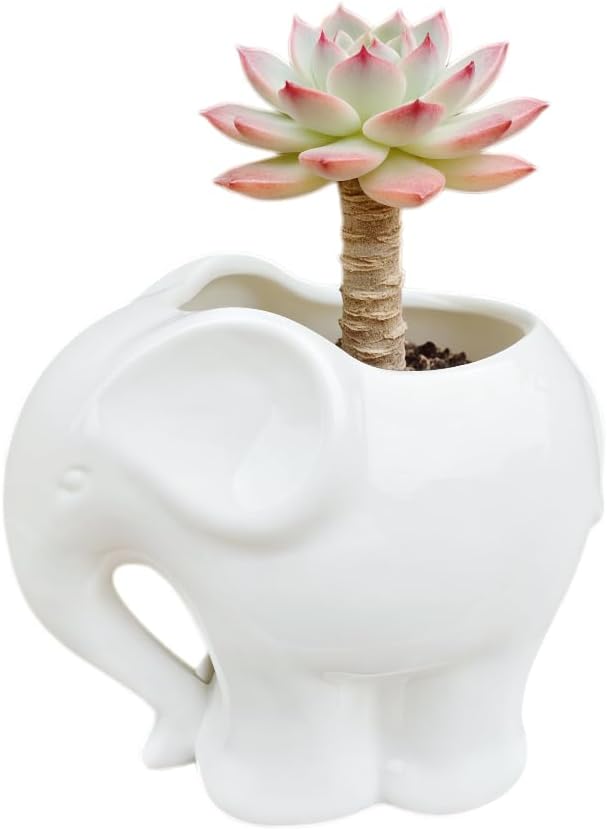 Cute Animal Elephant Shaped Ceramic Succulent Cactus Air Plant Flower Pots Planters-Plant Not Include (4" White)