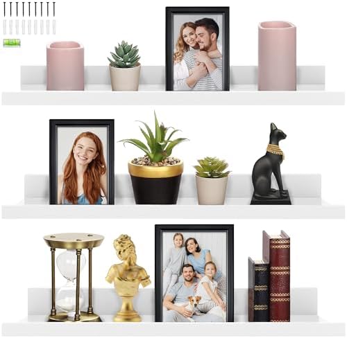 Icona Bay 24 Inch Floating Shelves for Wall - Set of 3 in Powder White - Modern Rustic Style - Wall Mounted Display Shelves - Picture Ledges