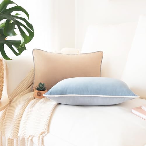MONDAY MOOSE Decorative Throw Pillow Covers Cushion Cases, Set of 2 Soft Velvet Modern Double-Sided Designs, Mix and Match for Home Decor, Pillow Inserts Not Included (12x20 inch, Beige/Light Blue)