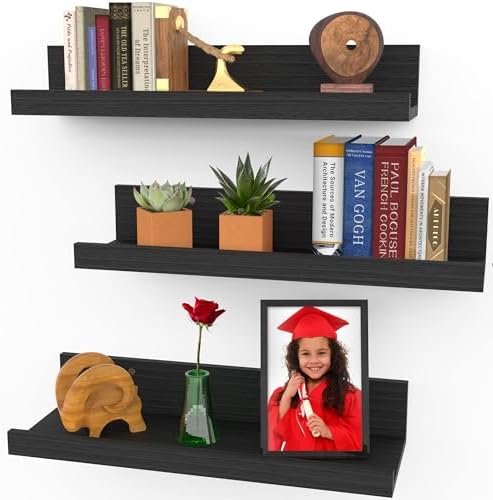 Icona Bay 16 Inch Floating Shelves for Wall - Set of 3 in Ebony Black - Modern Rustic Style - Wall Mounted Display Shelves - Picture Ledges