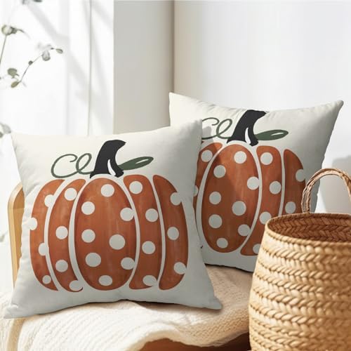 Fall Pumpkin Throw Pillow Cover 20X20I NCH Set of 2 Autumn Orange Pumpkin Outdoor Pillow Cases Polka Dot Beige Thanksgiving Farmhouse Square Cushion Covers for Sofa Couch Porch Patio Home Decor