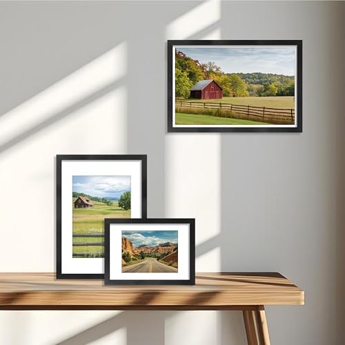 VIOLABBEY A3 Frame Set of 5, Fit 8.3x11.7 Photos with Mat, Black
