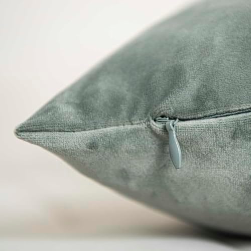 Eucalyptus Decorative Velvet Throw Pillow Covers 24x24 inch Set of 2 with Zipper Luxury Soft Solid Square Cushion Covers Case for Sofa Couch Bed Living Room