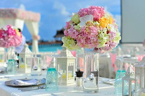 WGVI Quality Thick Weighted Tall Clear Cylinder Glass Vases, 4" W x 14" H, Flower Arrangement Floating Candle Holders Wedding Centerpieces Floral Bouquet Container Home Accent Decor, 1 Piece