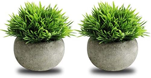 THE BLOOM TIMES 2 Pcs Small Fake Plants Artificial Potted Plants Home Decor