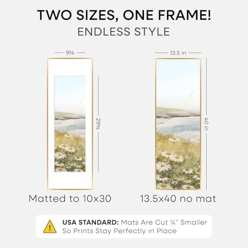 Homeforia 13.5x40 Gold Picture Frame, High-End Metal, 10x30 Mat, Glass