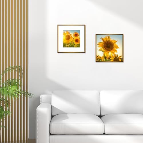 Frametory 2 Pack 12x12 Aluminum Frame with Mat for 8x8 Photo, Bronze