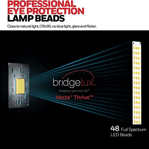 Honeywell H01 Pro Compact LED Desk Lamp with A+C Charging Port