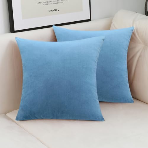Jeneoo Set of 2 Decorative Throw Pillow Covers Soft Velvet Comfy Solid Couch Cushion Cases for Livingroom Bed Sofa Decor (Sky Blue, 18 x 18 Inches)