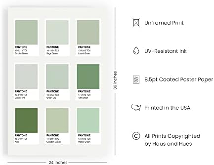 HAUS AND HUES Sage Green Wall Decor – Aesthetic Green Room Art, Minimalist Botanical Posters, Dark Green Bedroom & Dorm Prints (Unframed, 24" x 36")