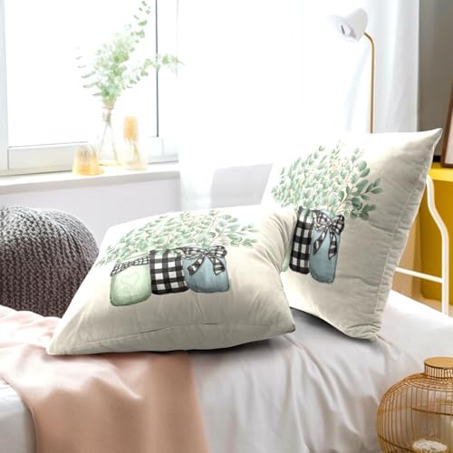 Eucalyptus Leaves Throw Pillow Covers Set of 2 Spring Green Botanical Plaid Jar Vase Print Decorative Pillowcase Summer Seasonal Natural Farmhouse Cushion Cover for Home Sofa Bedroom Porch 16x16 in