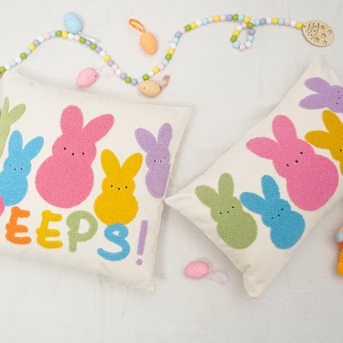 GEEORY Easter Embroidered Pastel Bunny Peeps Pillow Cover 16x16 Inch, Easter Decorations Farmhouse Decor Canvas Cushion Case for Living Room, Sofa & Bed GX019-1-16