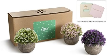 Opps Mini Artificial Plants Plastic Fake Green Colorful Flower Topiary Shrubs with Gray Pot for Home Décor – Set of 3
