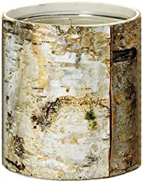 Serene Spaces Living Large White Birch Bark Vase with Glass Interior, Decorative Centerpiece, Rustic Accent Piece, Ideal for Natural Wedding Tablescape, Vintage Home Decor, 4.5" Diameter & 6.5" Tall