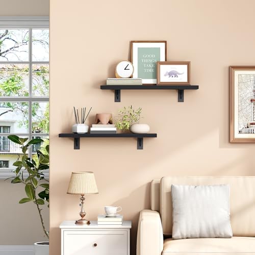HOOBRO Floating Shelves for Wall, 15.7" Wall Mounted Shelves Set of 2, Hanging Storage Shelf with Metal Brackets, Wooden Shelf for Living Room, Bedroom, Bathroom, Black BK42BJP201G1