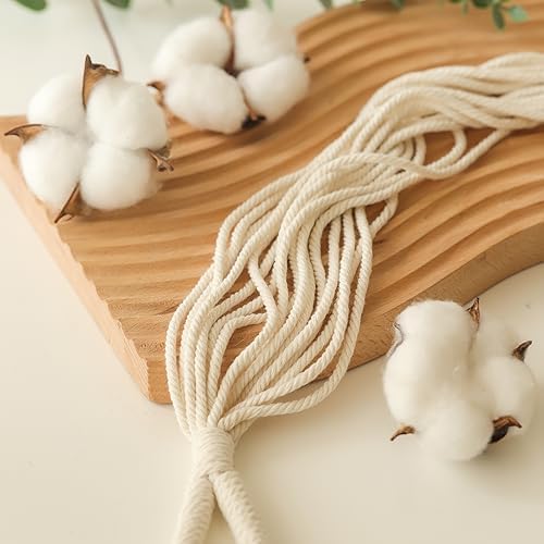 Hanging Planter with Patterns,4Packs Macrame Plant Hangers Indoor Macrame for up to 8 inch Pot Crochet Boho Plant Hanger Holder for Indoor Outdoor with 4 Stainless Steel Hooks (4Pcs White Colors)