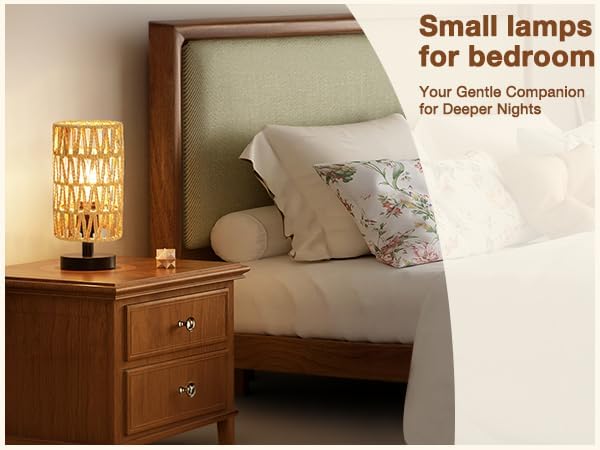 Fenmzee Table Lamps (Rattan Rope Shade - Black Base, 9" Inline Control)