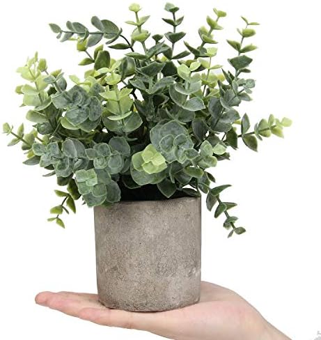 Mini Potted Plants Artificial Eucalyptus Boxwood Rosemary Faux Herbs Small House Plants 8.3"-9" Tall for Indoor Greenery Tabletop Décor Centerpiece (Sprayed Eucalyptus)