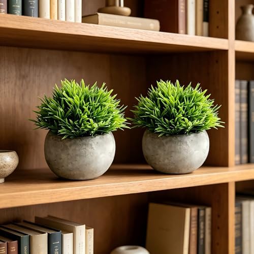 THE BLOOM TIMES 2 Pcs Small Fake Plants Artificial Potted Plants Home Decor