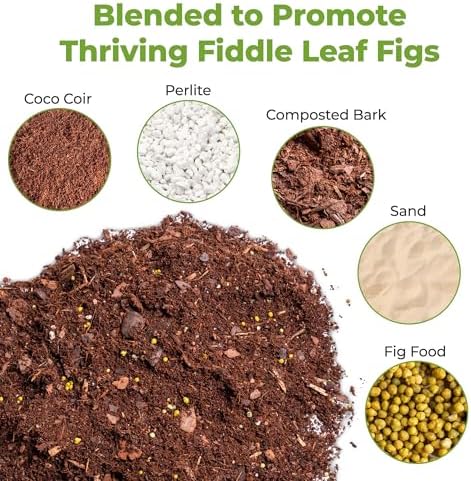 Perfect Plants Fiddle Leaf Fig Soil, 8 qt, Coconut Coir Potting Mix