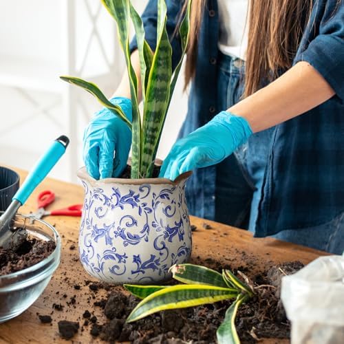 Newtay 6 Inch Vintage Ceramic Planters Crackle Glaze,Chinoiserie