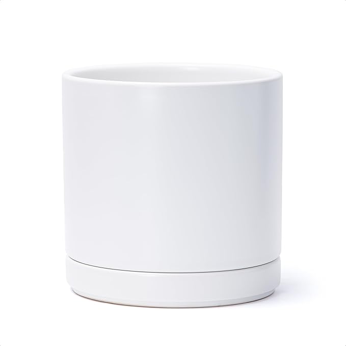 D'vine Dev 8.2 Inch Ceramic Planter Pot, White, 94-O-D-1 | Modern Cylinder Design, Drainage Hole & Saucer Included, Stable Structure, Elegant Home Accent