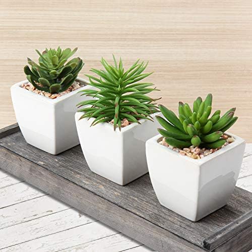 Hollyone Small Faux Succulents in White Ceramic Pot 3Pcs Artificial Succulents Fake Plant Gifts Home Decor Accents Centerpieces Bathroom Decor Mum Gifts Greenery Decoration Succulents Wedding