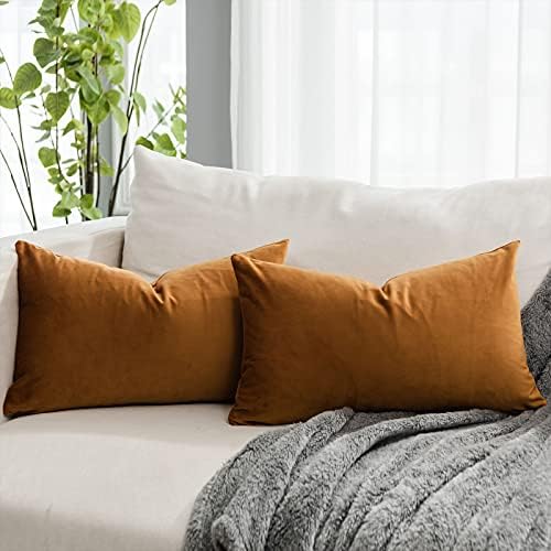 Burnt Orange Decorative Lumbar Velvet Throw Pillow Covers 12x20 inch Set of 2 with Zipper Luxury Soft Solid Rectangle Cushion Covers Case for Sofa Couch Bed Living Room