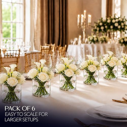 Royal Imports Glass Cylinder Vase 6"x 6" Tall (5.5" Usable Depth) | Cylinder Vases for Centerpieces for Tables, Floating & Votive Candle Holders Wedding Decor, Storage, Home & Event Decorations