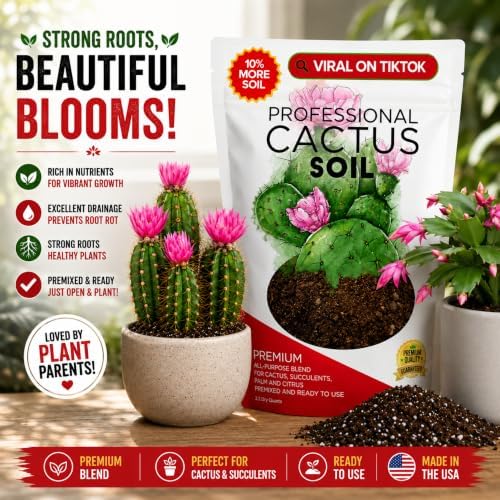 Leaves & Soul Cactus Soil Potting Mix 2.2 Qt for Cactus & Succulent Plants
