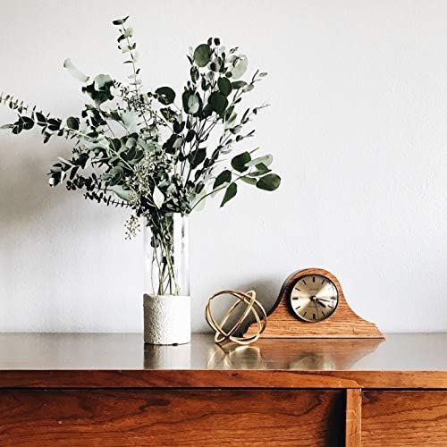 WGV Cylinder Vase, Diameter 5", Height 16", Clear Glass Floral Planter Container, Tall Centerpiece Arrangement for Wedding Party Event Home Office Decor, 1 Piece