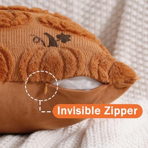 Coddsmz Fall Pumpkin Throw Pillow Covers 18x18 Inches 2PCS Halloween Decor