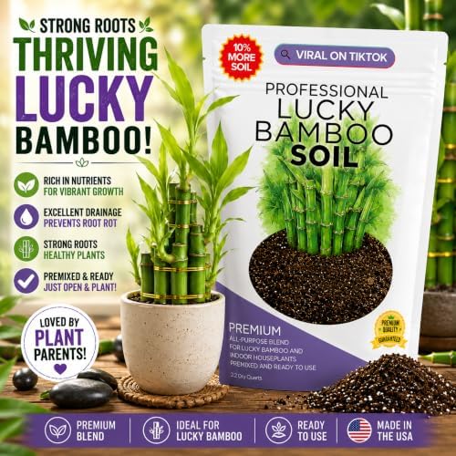 Leaves & Soul Lucky Bamboo Potting Soil 2.2 Qt for Lucky Bamboo Plant