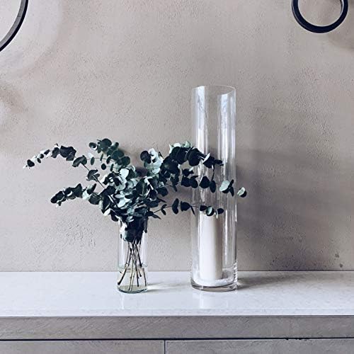 WGV Cylinder Vase, Diameter 5", Height 18", Clear Glass Floral Planter Container, Tall Centerpiece Arrangement for Wedding Party Event Home Office Decor, 1 Piece