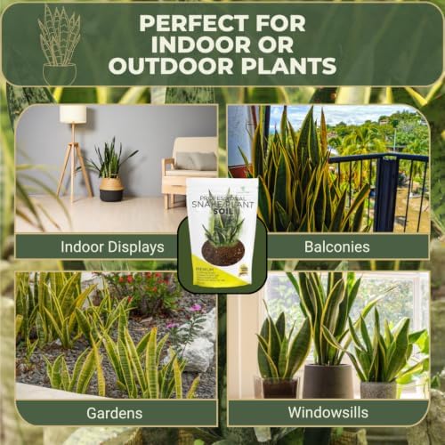 Leaves & Soul Snake Plant Potting Soil 2.2 Qt for Snake Plants Indoor