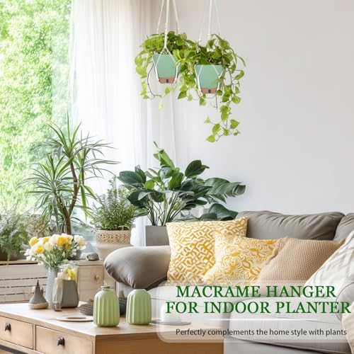 Hanging Planter for Indoor Plants 8 Inch, 2 Pack, Self Watering