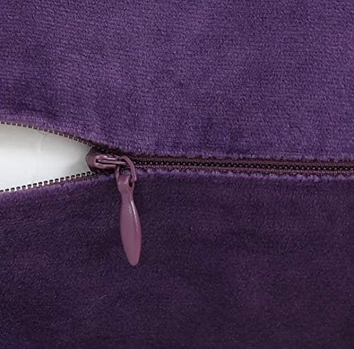 Jeneoo Comfy Soft Thick Velvet Throw Pillow Covers for Sofa Couch, Decorative Solid Square Cushion Cases for Bedroom Car (Eggplant Purple, 20 x 20 Inches, 2 Pieces)