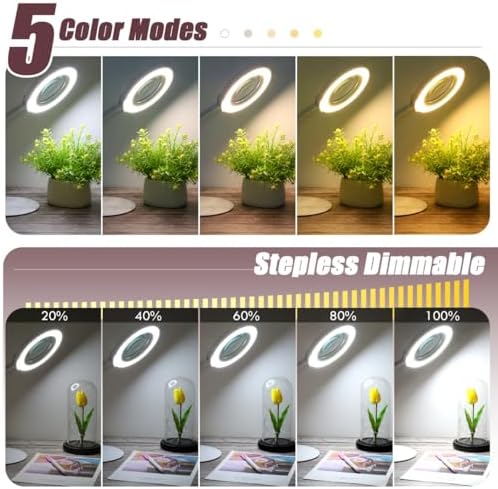 10X Magnifying Glass with Light and Stand, 5 Color Modes Stepless Dimmable LED Lighted Desk Lamp, Hands Free Flexible Gooseneck Magnifier with Light for Craft Hobby Painting Close Work - White
