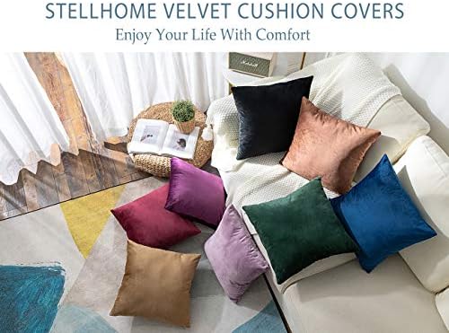 Stellhome Pack of 2 Cozy Velvet Pillow Covers Square Decorative Cushion Covers for Bed Couch Sofa Bench, 22 x 22 inch (55 x 55 cm), Black