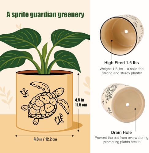 STHIE 5 Inch Ceramic Plant Pots for Indoor Plant with Drainage, Sea Turtle