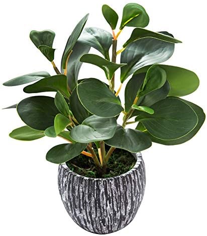 AlphaAcc Fake Faux Fiddle Leaf Fig Cement Planter Housewarming Desk Decor