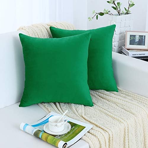 Jeneoo Set of 2 Comfy Soft Velvet Christmas Throw Pillow Covers Decorative Solid Square Couch Cushion Cases for Bedroom Car (16 x 16 Inches,Bright Green)