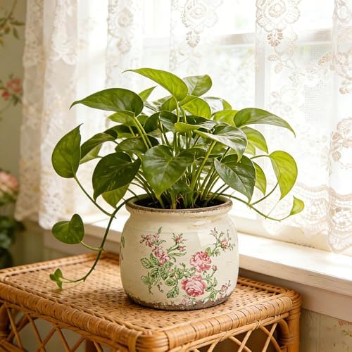 Flower Pots Planters for Indoor Plants Ceramic Plant Pots with Drainage 6.1 Inch Vintage Ceramic Pots for Plants Outdoor Home Garden Decor, Vintage Pink Rose