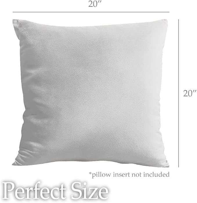 lalaLOOM Velvet Throw Pillow Covers, Set of 2, 20x20 Light Gray